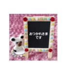 uru＆susu【crystal.twin.bears】（個別スタンプ：1）