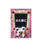 uru＆susu【crystal.twin.bears】（個別スタンプ：9）