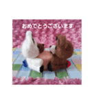 uru＆susu【crystal.twin.bears】（個別スタンプ：16）