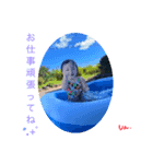 RYR♡family（個別スタンプ：2）