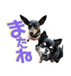 名犬サクちゃん9（個別スタンプ：3）