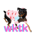 名犬サクちゃん9（個別スタンプ：23）