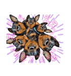 名犬サクちゃん9（個別スタンプ：28）