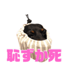名犬サクちゃん9（個別スタンプ：38）