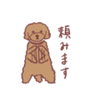 トイプードルりくちゃん（個別スタンプ：5）