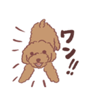 トイプードルりくちゃん（個別スタンプ：17）