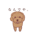 トイプードルりくちゃん（個別スタンプ：22）