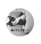 モナだよ（個別スタンプ：3）