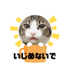 モナだよ（個別スタンプ：9）
