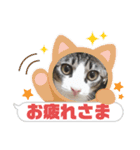 モナだよ（個別スタンプ：14）