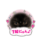 ねこねこぴのこ3（個別スタンプ：2）