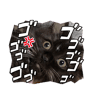 ねこねこぴのこ3（個別スタンプ：6）