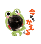 ねこねこぴのこ2（個別スタンプ：5）