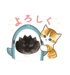 ねこねこぴのこ2（個別スタンプ：6）