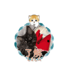 ねこねこぴのこ2（個別スタンプ：7）