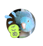マメルリハのリル18（個別スタンプ：1）