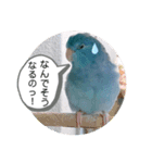 マメルリハのリル18（個別スタンプ：4）