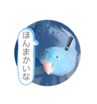 マメルリハのリル18（個別スタンプ：5）