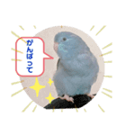 マメルリハのリル18（個別スタンプ：6）