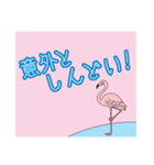 ピンク フラミンゴ（個別スタンプ：8）