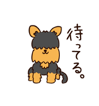 つぶ ～うちにやってきたふしぎな犬～（個別スタンプ：39）