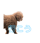 onechance犬ちゃん（個別スタンプ：1）