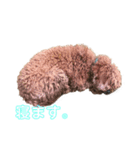 onechance犬ちゃん（個別スタンプ：3）