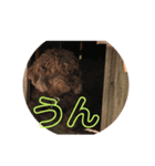 onechance犬ちゃん（個別スタンプ：4）