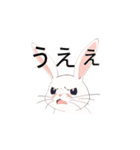 アニメ風かわいいうさちゃんvol.1（個別スタンプ：1）