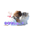 タヌ＆ぽお太郎スタンプ（個別スタンプ：7）