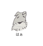 シュナウザー(ゆるい)（個別スタンプ：4）