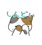 あらぶるねこ（個別スタンプ：23）