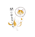 たまねこスタンプ（個別スタンプ：5）