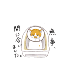 たまねこスタンプ（個別スタンプ：6）