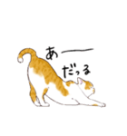 たまねこスタンプ（個別スタンプ：7）