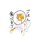 たまねこスタンプ（個別スタンプ：9）