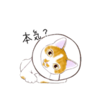 たまねこスタンプ（個別スタンプ：12）