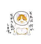 たまねこスタンプ（個別スタンプ：13）