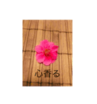 地球劇場3〜花、咲き香る2〜（個別スタンプ：1）