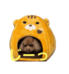 あん！なのもん！（個別スタンプ：2）