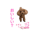 あん！なのもん！（個別スタンプ：4）