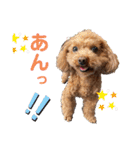 あん！なのもん！（個別スタンプ：5）