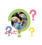 あん！なのもん！（個別スタンプ：8）