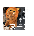あん！なのもん！（個別スタンプ：9）