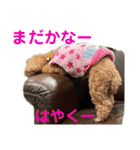 あん！なのもん！（個別スタンプ：15）