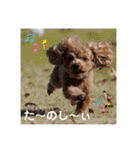 あん！なのもん！（個別スタンプ：16）