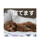 あん！なのもん！（個別スタンプ：17）