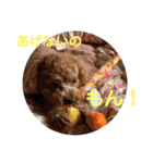 あん！なのもん！（個別スタンプ：21）