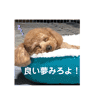 あん！なのもん！（個別スタンプ：24）