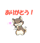 ころころこしば（個別スタンプ：12）